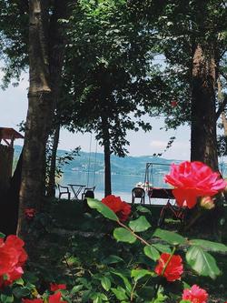 Alcedo Bungalov