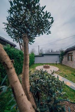 Sapanca Neph Villa