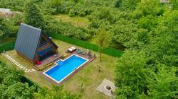 Sapanca Lion Suit Bungalov