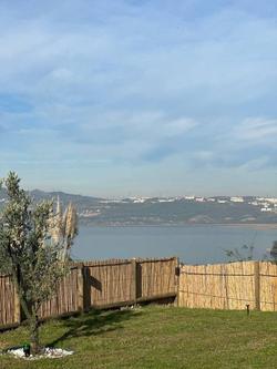 Sapanca Ohov Ağaç Villa