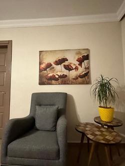 Sapanca House Ev