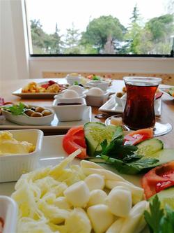 Aripsas Hotel Samsun