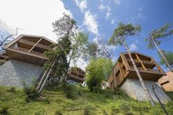 Hancıoğlu Çamburnu Orman Evleri Bungalow & Hotel