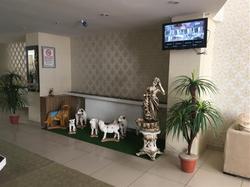Dilman Apart Otel