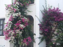 Aydem Hotel