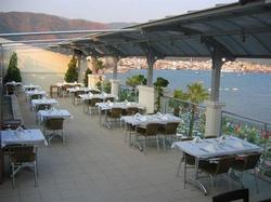 Royal Maris
