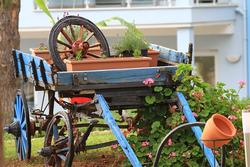 Daisy Garden Resort