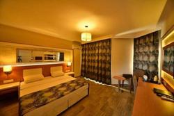 Dolphin Hotel