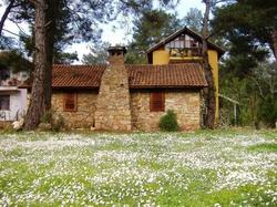 Daphne House
