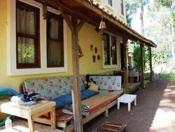 Daphne House
