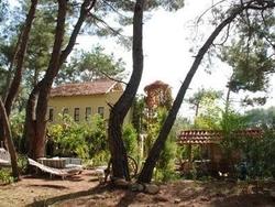 Daphne House