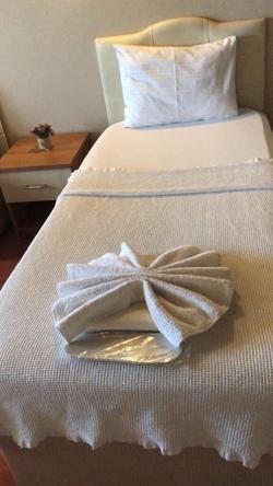 Otel Nese