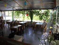 Rose Pension