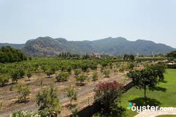 Sedir Resort