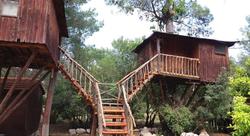 Jungle Bells Hostel