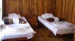 Jungle Bells Hostel