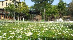 Jungle Bells Hostel