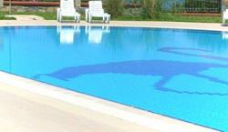 Flamingo Country Club