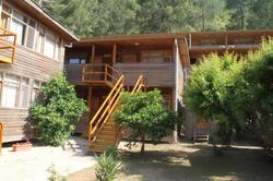 Türkmen Tree Houses