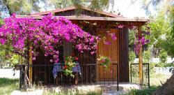 Arriba Apart Restaurant