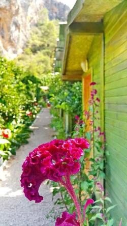 Olympos Tatilya Pansiyon