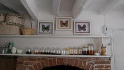 Eolos House Cunda