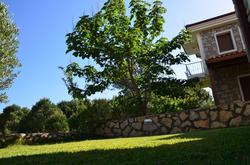 Mercan Pension