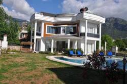 Angel Valley By Angel Rentals