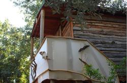 Sultan Camp