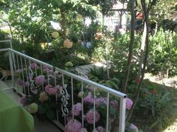 Yunus Apart Hotel
