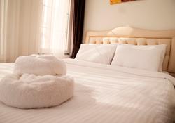 Murano Hotel