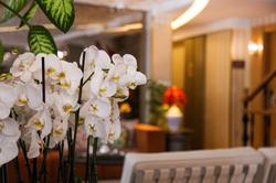 Almina Guest House
