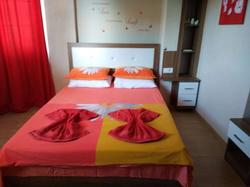 Paddys Apartments