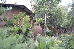 Olympos Mercan Pansiyon