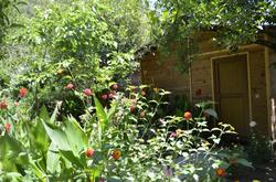 Olympos Mercan Pansiyon