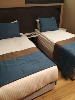 Hotel Rudis