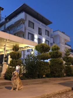 Nergiz Hotel Ayvalik