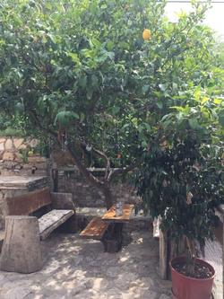 Eski Datça Pansiyon Cafe
