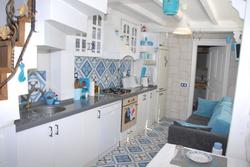 Dzg House