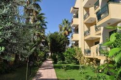 Hibiscus Apart & Garden