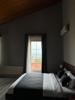 Treekos Suite