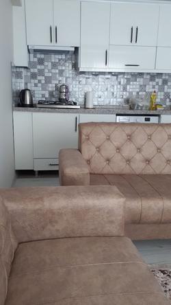 Geyikli Gunluk Daire3