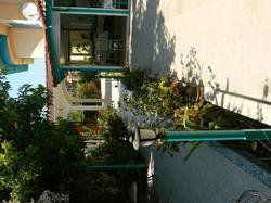 Miço