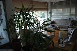 Saricay Hotel Rhodius