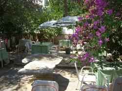 Hotel Olivia