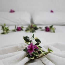 Okyanus Hotel