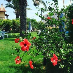 Maviev Hotel