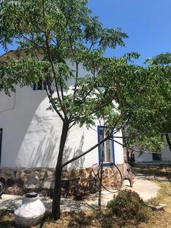 Biyikli Pansiyon