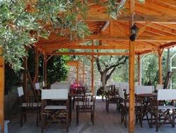 Marmara Zeytin Hotel