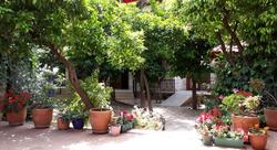 Citrus Garden Hotel